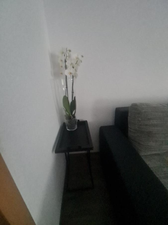 Paula Haus Trier Apartment Ngoại thất bức ảnh